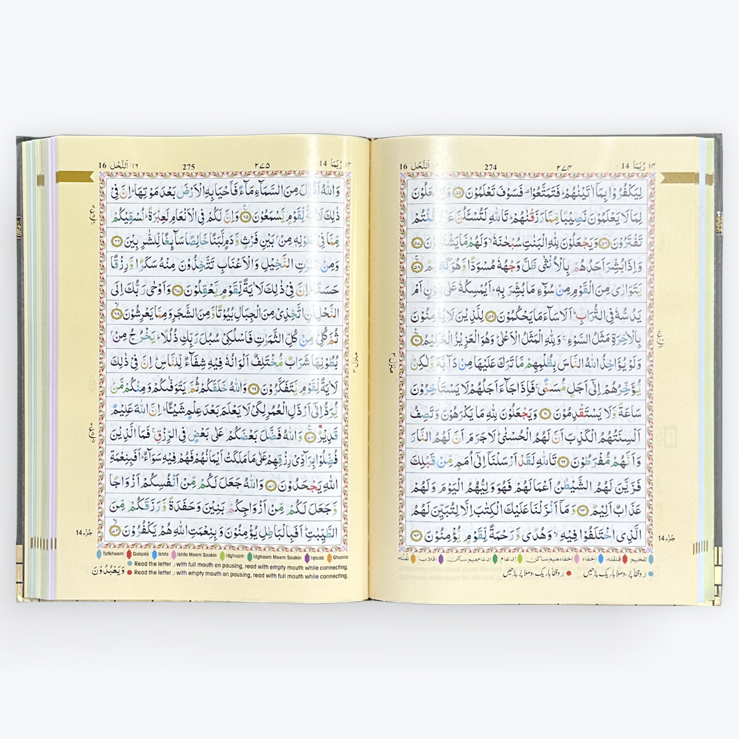 Quran Colour Coded Tajweed Rules