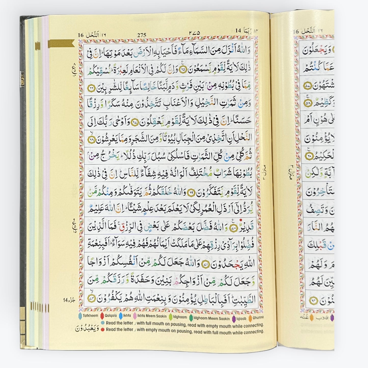 The Holy Quran Colour Coded Tajweed Rules Kabah Quran